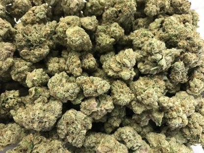 Exotic Flower 14 - Mac 1