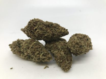 Value Flower Sampler - (4) 1/8ths - Image 3