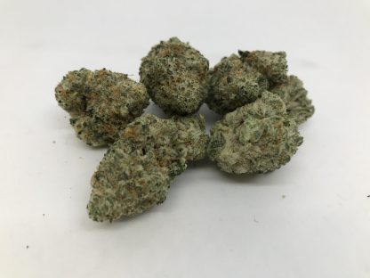 Exotic Flower 3 - Dante