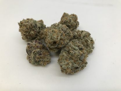 Exotic Flower Sampler - (4) 1/8ths