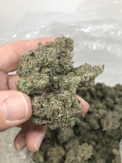 Exotic Flower 9 - Ice Cream Man - Image 3