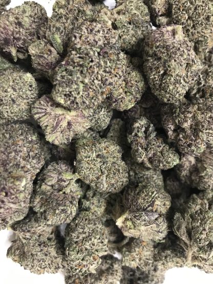 Exotic Flower 10 - Ice Cream Cake