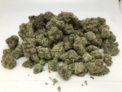 Exotic Flower 11 - Famous Cookies - Image 2