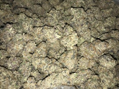 Exotic Flower 13 - Lemon Cherry Gelato - Image 2