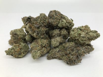 Exotic Flower 11 - Famous Cookies