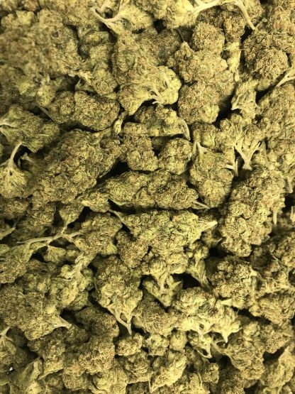 Bulk Clearance 3 - Skywalker OG