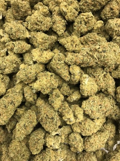 Bulk Clearance 7 - Black Jack - Image 2