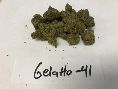 Bulk Clearance 9 - Gelato 41