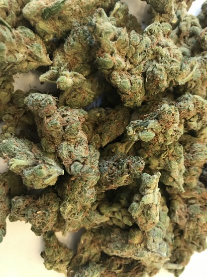 Bulk Clearance 12 - Guava Tangie