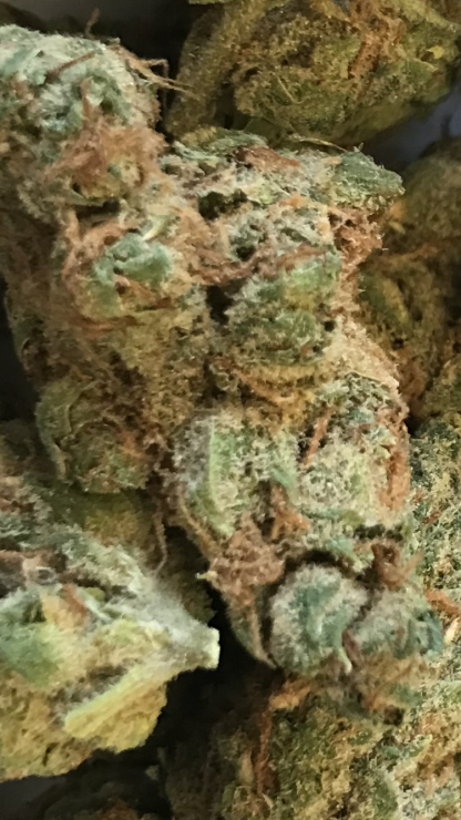Bulk Clearance 12 - Guava Tangie - Image 2