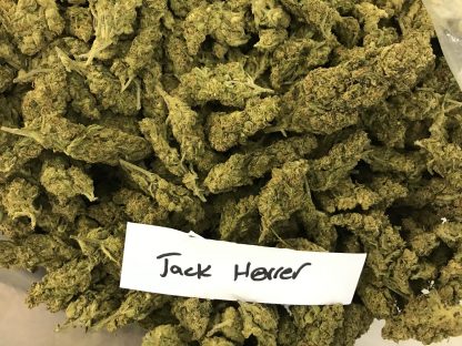 Bulk Clearance 8 - Jack Herrer - Image 2
