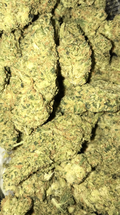 Bulk Clearance 12 - Dual OG