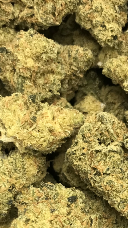 Bulk Clearance 7 - Black Jack