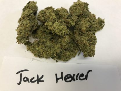 Bulk Clearance 8 - Jack Herrer