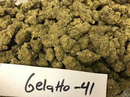 Bulk Clearance 9 - Gelato 41 - Image 2