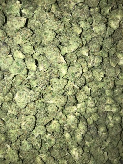 Bulk Clearance 16 - High Octane OG Smalls
