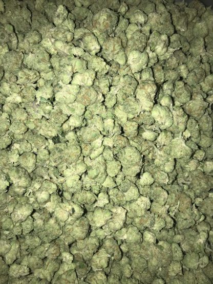 Bulk Clearance 18 Alien OG - Image 2
