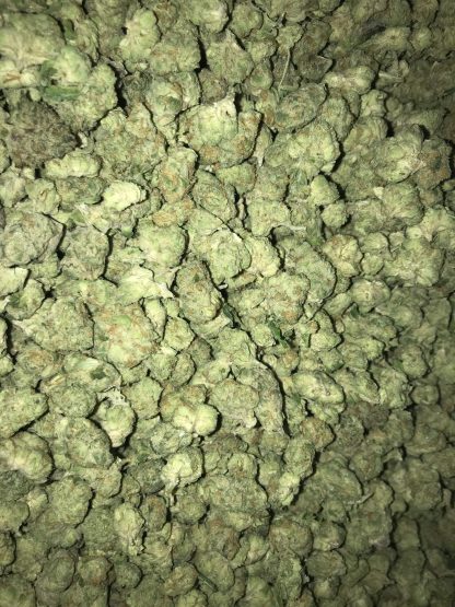 Bulk Clearance 21 First Class Funk - Image 2
