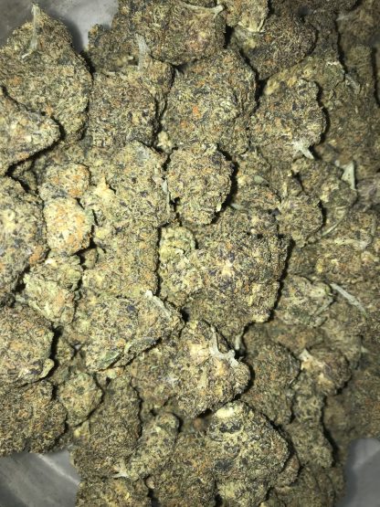 Bulk Clearance 17 Sunset Sherbet - Image 2