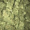 Bulk Clearance 19 Biscotti - Image 2
