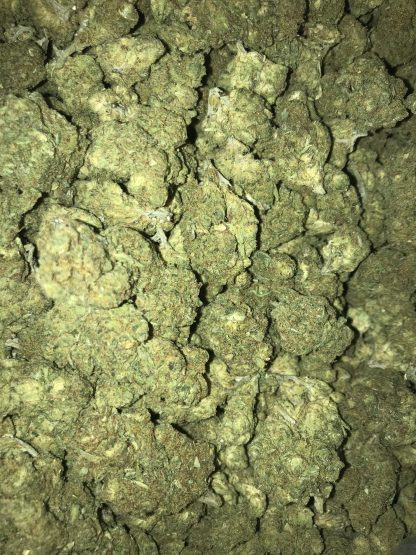Bulk Clearance 19 Biscotti - Image 2
