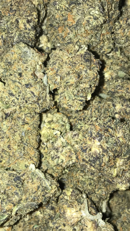 Bulk Clearance 17 Sunset Sherbet