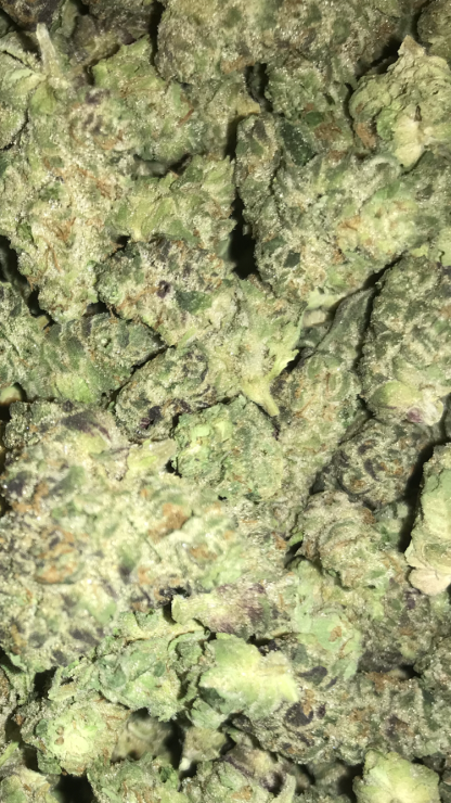 Bulk Clearance 25 Grape pie - Image 2