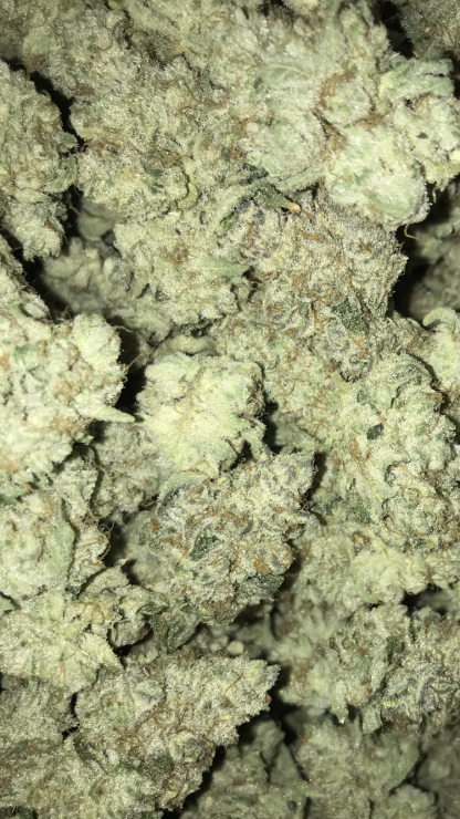 Exotic Flower 15 Twisted Citrus