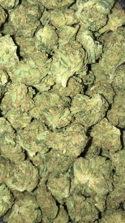 Bulk Clearance 28 - Candied Lemons