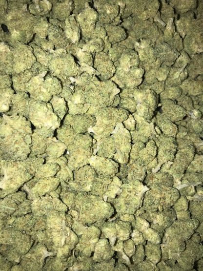 Bulk Clearance 29 - Bay Bridge - Small Nugs