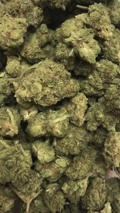 Bulk Clearance 30 - Rainbow Smalls - Small Nugs