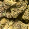 Bulk Clearance 37 - Jokers