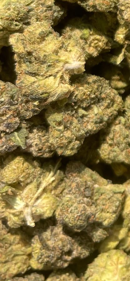Bulk Clearance 37 - Jokers