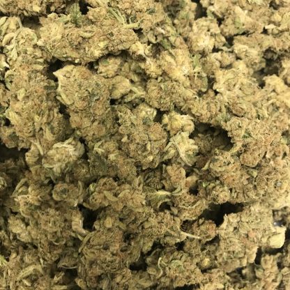 Bulk Clearance 41 - Meat Breath