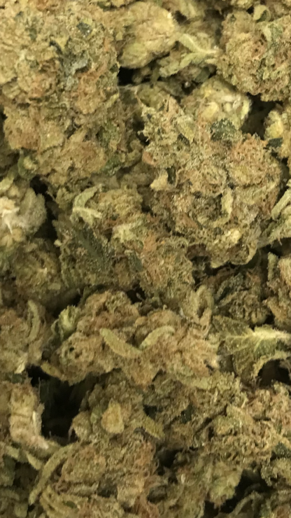 Bulk Clearance 41 - Meat Breath - Image 2