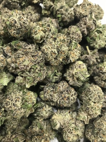 Exotic Flower 4 - Roxanne