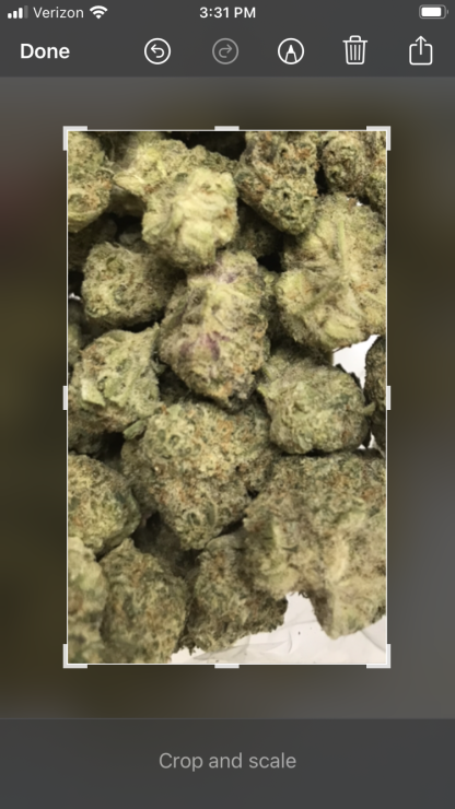 Top Shelf Flower 8 - Mac Berry