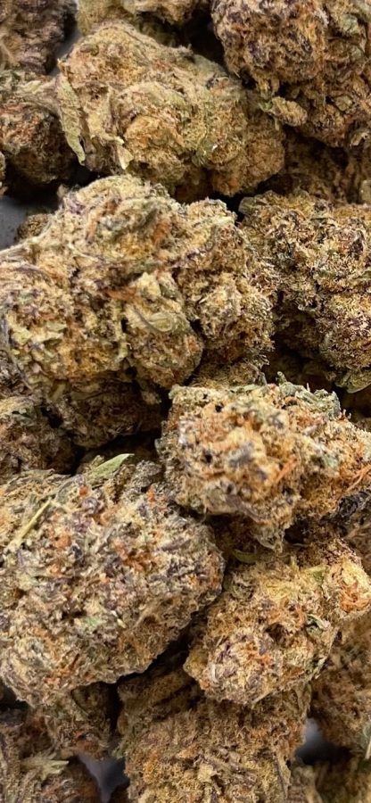 Bulk Clearance 14 - Papaya Punch