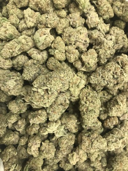 Exotic Flower 12 - Slurpee