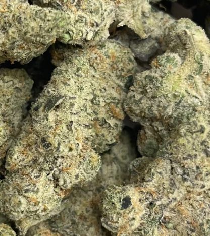 Exotic Flower 1 - Wonka Bars