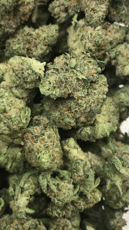 Bulk Clearance 4 - Lemon Meringue
