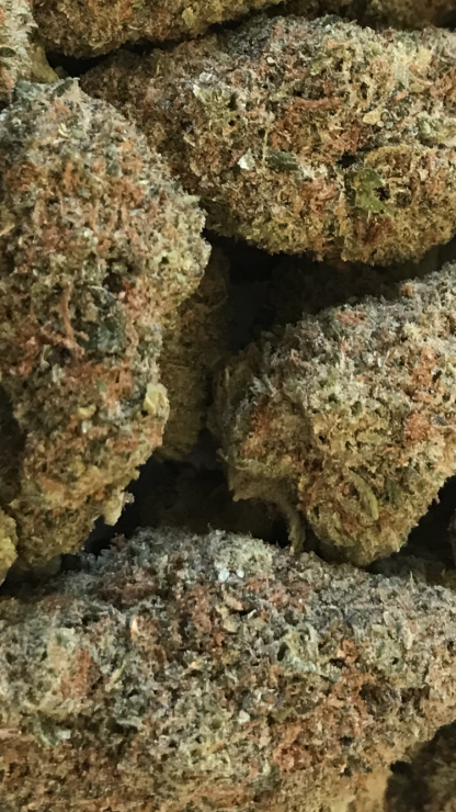Top Shelf Flower 6 - Melonade - Image 2